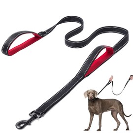 DDSColour Heavy Duty Dog Leash - 5ft 6ft Long, Double Traffic Handle Reflective - Suitable for Medium to Large Dogs - Strong, Training Nylon Leash