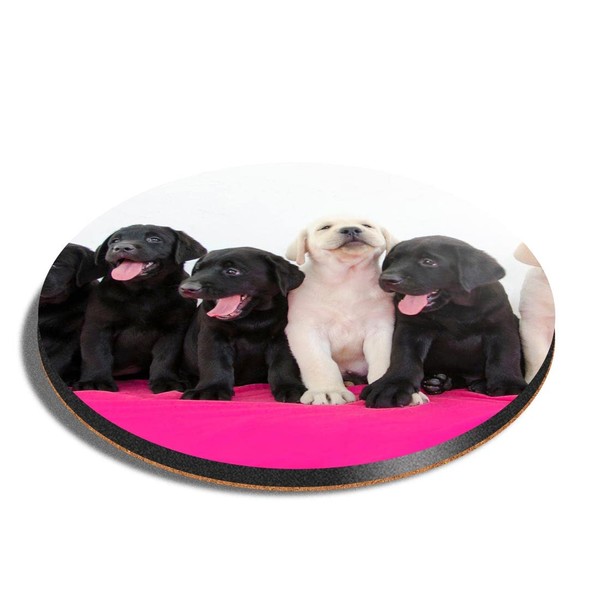 1 x Round Coaster - Labrador Puppies Puppy Dog Cork