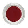 Living Libations - Organic / Wildcrafted Maiden Fern Blushing Balm