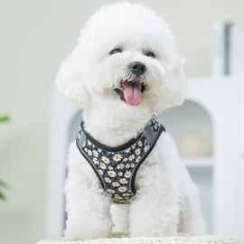 XXS Dog Harness and Leash Set, Step in Dog Harness No Pull for Walking Running Training, Puppy Essentials for Dogs Cat Bunny, Adjustable Reflective Dog Vest Harness. (Black, XXS)