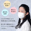 100% Silk, Washable, Mask Replacement Sheet, Inner Mask Sheet, Silk