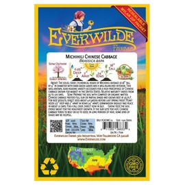 Everwilde Farms - 500 Michihili Chinese Cabbage Seeds - Gold Vault Jumbo Seed Packet