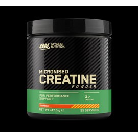 Optimum Nutrition Creatine Monohydrate