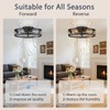 VOLISUN Caged Ceiling Fan with Light and Remote,19.7 inch Fandelier