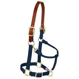 Weaver Leather Nylon Adjustable Breakaway Horse Halter, Large, Navy