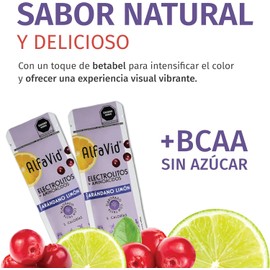Polvo de Electrolitos y Aminoácidos Sin Azúcar Sobres con BCAA’s y L-Glutamina Hidratación Diaria y Recuperación Física Fórmula con Minerales Esenciales 14 Sobres Sabor Arándano Limón