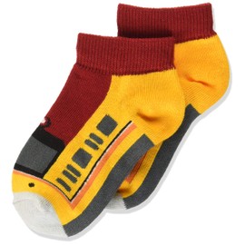 TETSUSHITA Ginza Line 1000 Series Socks, Train Goods