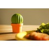 Qualy Design Studio Cactus Salt and Pepper Shakers in One.