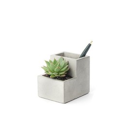 Kikkerland Concrete Planter and Desktop Stationery Organiser (Small)