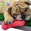 Fancy Pets Juguete Chew Hueso Masticable para Perro Tamaño Chico