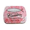 Scripture Candy, Sugar Free Fish Shaped Cinnamon Flavored Mints in