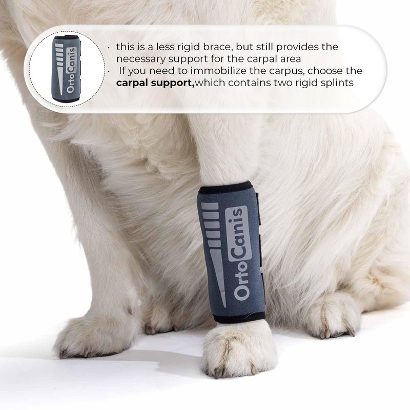 Ortocanis - Dog Leg Brace - Front Leg Brace for