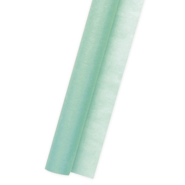 Sasagawa 49-9034 Wrapping Supplies Non-woven Fabric Roll, Turquoise Blue