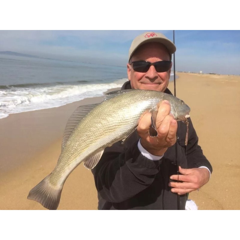 surffishtackle.com Sand Crab and Flea Catcher (Mini)