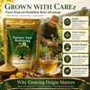 WOTIHA Dandelion Root Powder 4.4oz (125g) - 100% Natural &