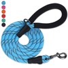 VIVAGLORY Strong Rope Lead with Thick Neoprene Padded Handle, 150