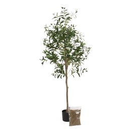 Kate and Laurel Oliveira Modern Faux Olive Tree, 5 FT, Potted Artificial Olive Plant Tree Indoor with Realistic Foliage and Additional Decorative Moss, Fake Plant for Living Room Decor