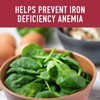 Organika Canadian-Made Absolute Iron - Iron Bisglycinate- High Availability, Gentle