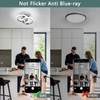 EIDISUNY LED Ceiling Light Modern Ceiling Lamp Silver Round Simple