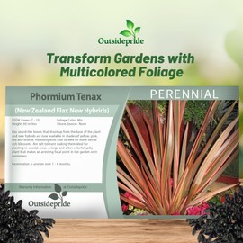 Outsidepride New Hybrids Phormium Seeds - 100 Pcs Perennial, Sword-Shaped Leaves, Hardy, Low Maintenance, Attracts Pollinators, Beautiful Foliage, Perfect for Coastal Gardens and Focal Points