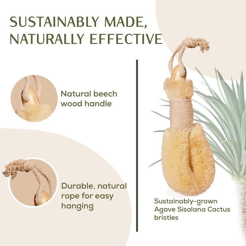 CSM Agave Plant-Based Dry Body Brush: Natural Firm Bristles for