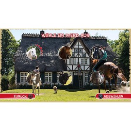 Bibi & Tina - Das Spiel zum Kinofilm - Windows 10 / 8.1 / 8 / 7