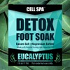 Cell Spa Detox Foot Soak Bath Premium 16 Ounce Eucalyptus