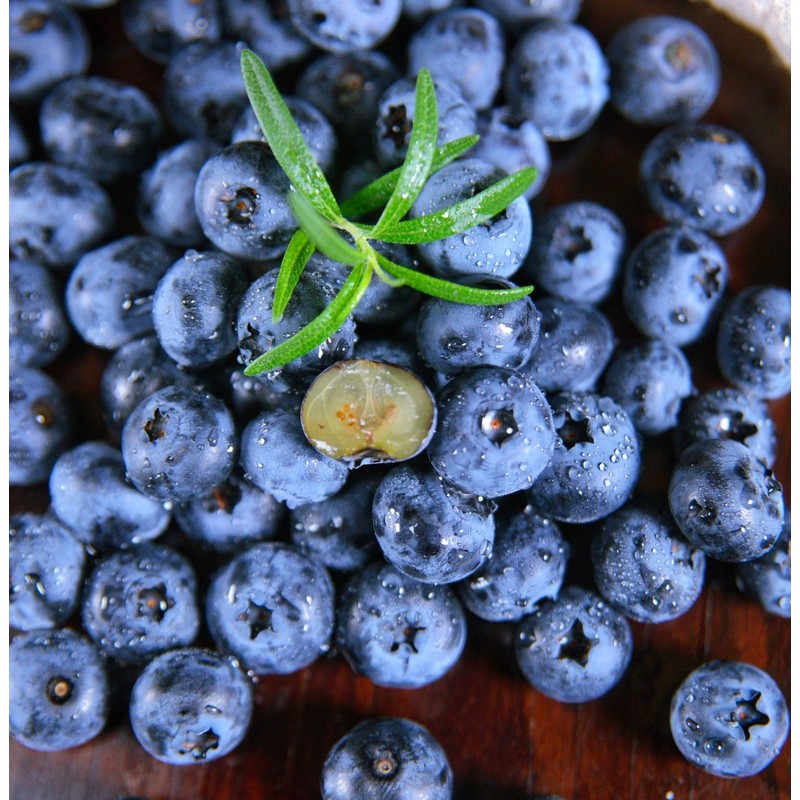 Blueberry Seeds for Planting 200 Pcs