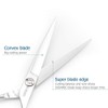6 Inch Professional Hair Scissors Professional 440C Stainless Steel Hair