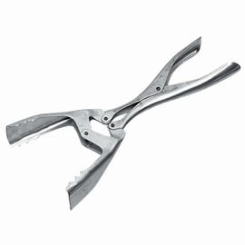 Turk 73457 Briquette Tongs with Double Joint, 300 mm, Silver, 30 x 30 x 30 cm