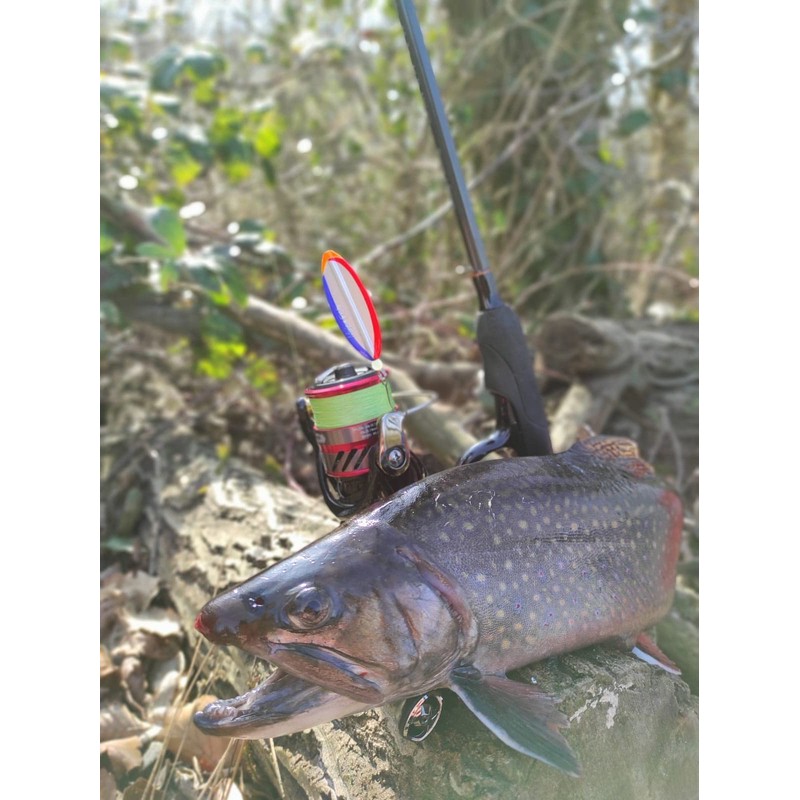 Major Fish Trout Box 50 Pieces Trout Bait Gift for