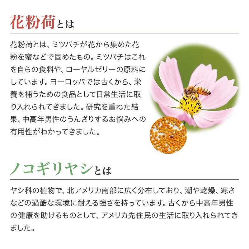 Yamada Beekeeping Zn Tachibe 90 Balls/Bag