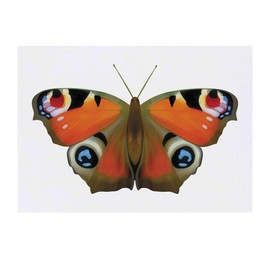 'Peacock Butterfly' Temporary Tattoo - Water Resistant, Skin-Safe, Non-Toxic Transfer (TO00032089)