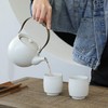 TEANAGOO ETC07, Pottery China Tea Cup for W08, 5.8 oz,