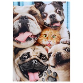 Dog/Cat Photo Booth Fun Pop Up - Avanti Stand Out Funny Birthday Card