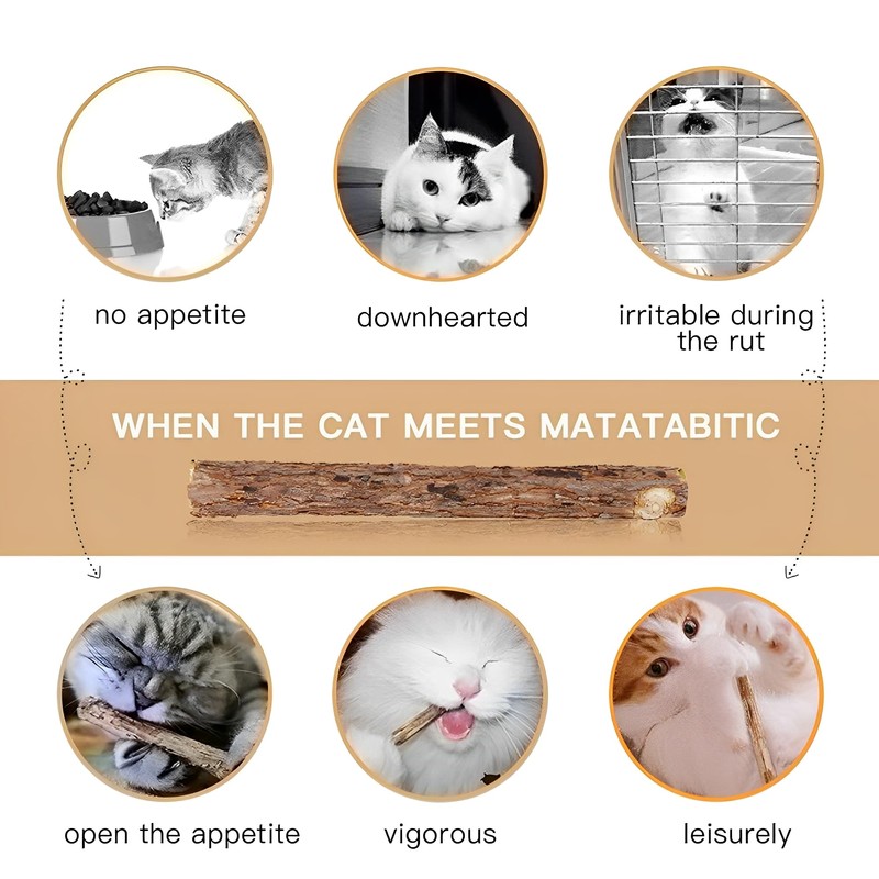 Vunpok 10 Stück Katzenminze Sticks, Katzenminze Spielzeug, Kauholz für Katzen,