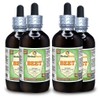 Beet (Beta Vulgaris) Glycerite, Organic Dried Leaves Alcohol-Free Liquid Extract