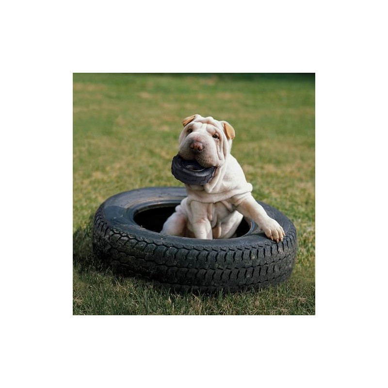 Kong Juguete en Forma de Llanta para Perro, pequeño