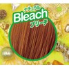 Freshlight Natural Bleach x 1