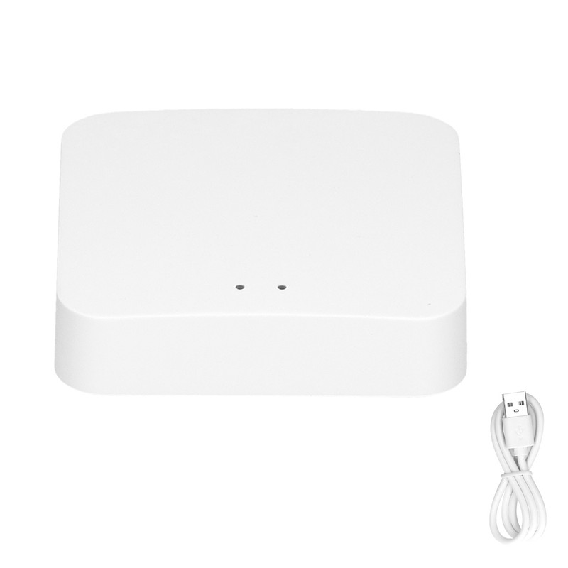 Intelligent Wireless Gateway Hub WiFi 802.11 B/g/n AI Voice Control
