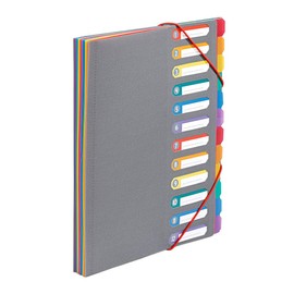 Viquel - A4 Organiser with 12 Compartments - Extendable Desk Organiser - A4 Document Folder with Index - Elastic Band Closure - Rainbow Touch Grey