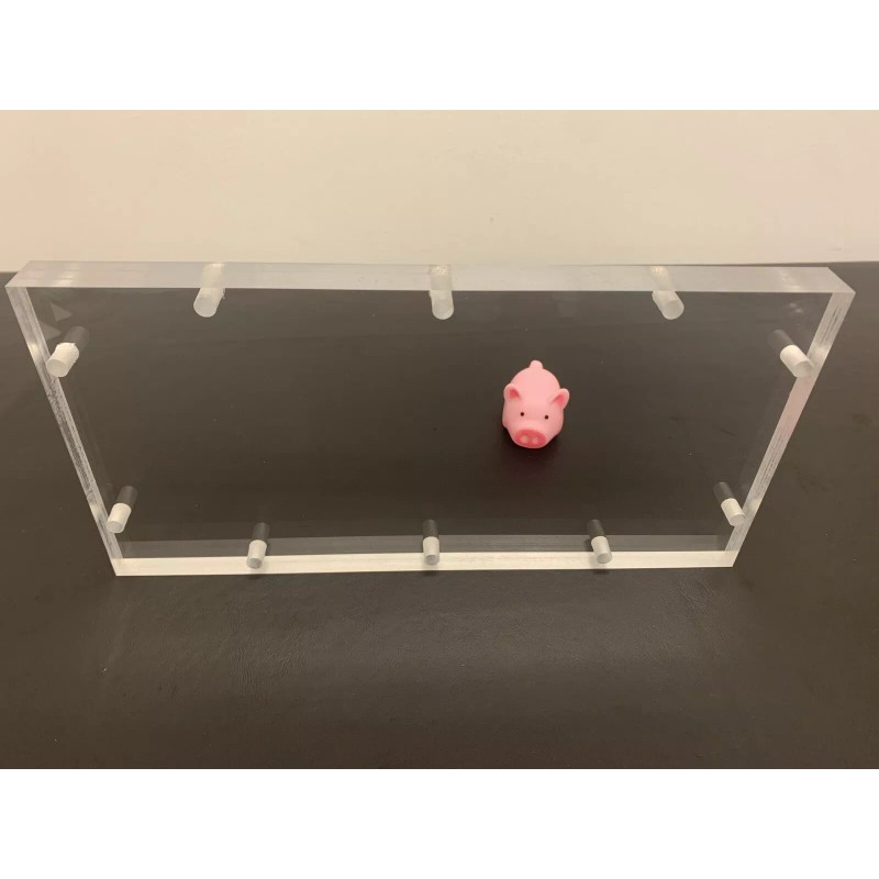 Skar Audio Blank: 10” X 5” Plexiglass Viewing Window (3/4")