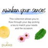 Pukka Herbal Tea Collection Pack 20 sachets, 34.4g