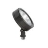 RAB Lighting Leslie Bullet Flood 13W LED