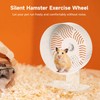 Skdqiee Hamster Exercise Wheel, Silent Hamster Wheel with Acrylic Stand,