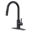 FORIOUS Black Kitchen Faucet with Pull Down Sprayer, High Arc