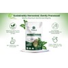 Raslok Moringa Powder | 100% Pure Leaf | No Additives