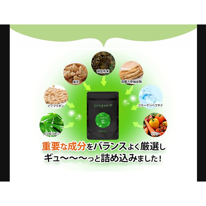 BISAI [Renewal Version] GUNGUN α - Gungun Alpha - Saw