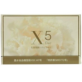 Lactic Acid, Fermented hanabiratake X5 120 Capsule