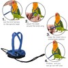 CQJ 2 pcs Pet Parrot Bird Harness and Leash, Adjustable